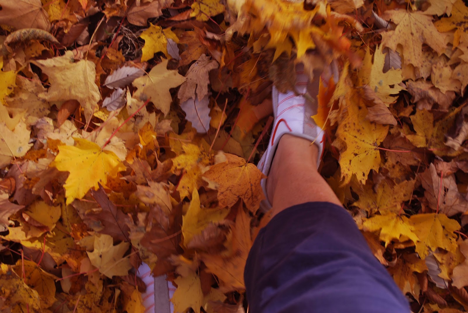 Осенние листья шуршат под ногами